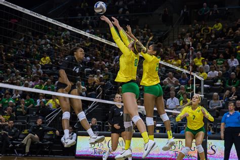 Photo Gallery Oregon Ducks Volleyball Vs Colorado Kmtr