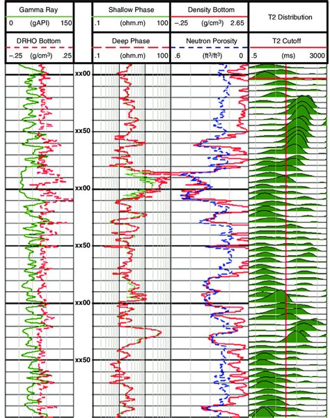 Wireline Logs