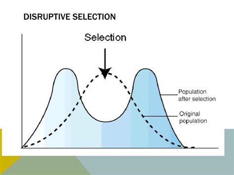 How To Draw A Disruptive Graph