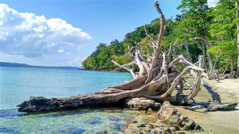 Best Places To Visit In Andaman Nicobar In March