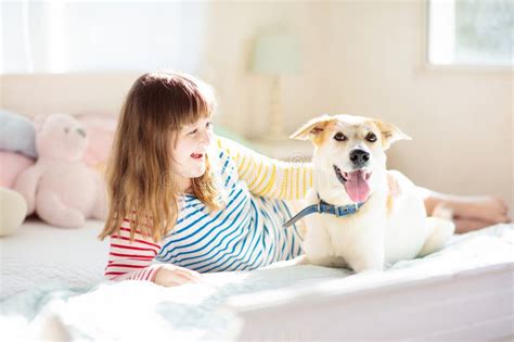 Niño Jugando Con Perro Los Niños Juegan Con Cachorro Foto de archivo