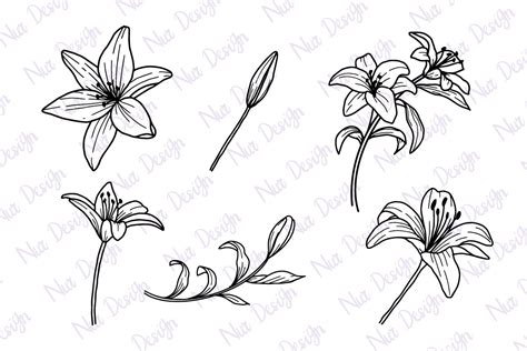 Lily Flower Lineart Set Svg Graphic By Nurdesign99 · Creative Fabrica