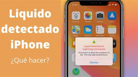 Líquido detectado iPhone Qué hacer PureTecno