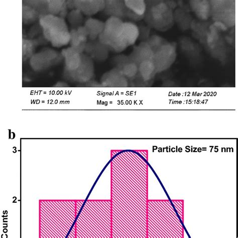 A Sem Micrograph Of Rgo B Particle Size Distribution Curve Of Rgo