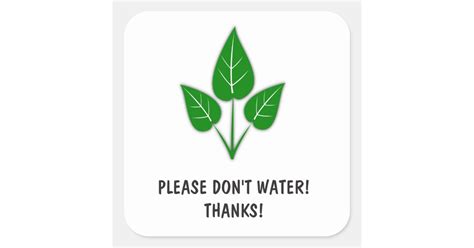 Please Dont Water Stickers Plants Zazzle