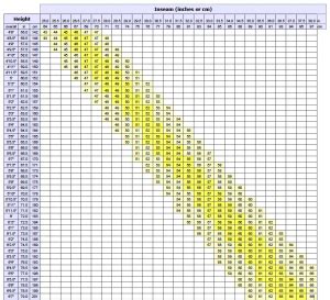 Road Bike Sizing Chart | Rent a Bike Cozumel