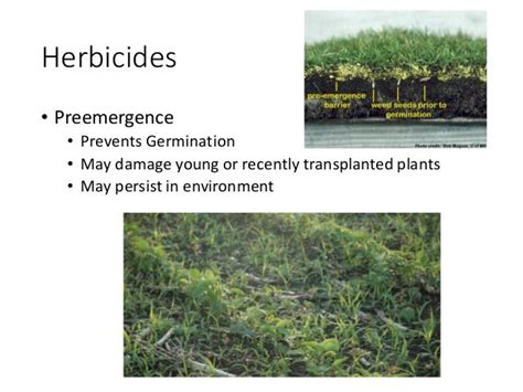 Weed Control Methods