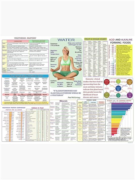 Vegetarian Nutrition Chart Advantages And Detailed Information Premium