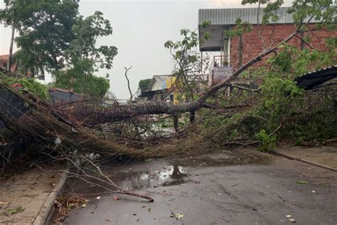 Temporal Fortes Rajadas De Vento Causa Falta De Energia Em Manaus E