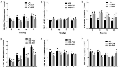 PHN inhibits LPS induced inflammation by suppressing MyD88 NF κB