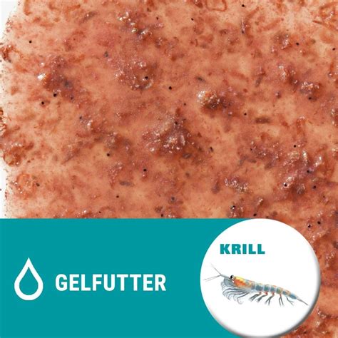 Tetra Tetra Fresh Delica Krill G Boutique En Ligne Olibetta