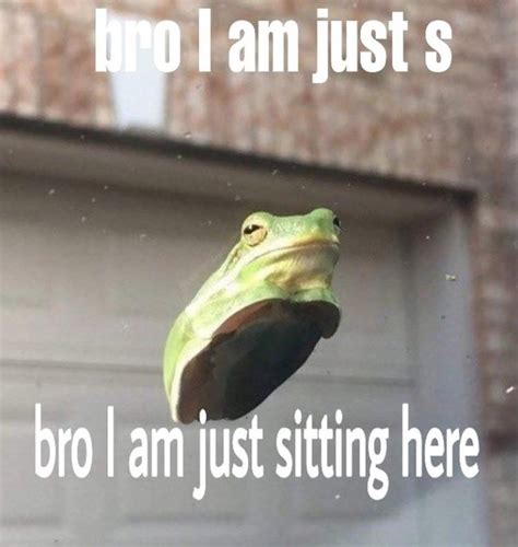 Bro I Am Just S Rfrogs