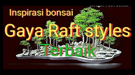 Kumpulan Inspirasi Bonsai Gaya Raft Terbaik Juraganputribonsai