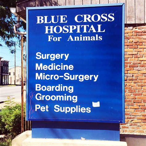 Blue Cross Animal Hospital - Medical - Louisville - Louisville