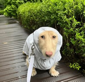 You Aint Neva Had No Chia Pet Pussy Playlist By Izzy Spotify