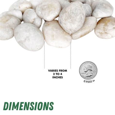 Pgn White River Rocks Para Plantas Libras Rocas Blancas Con