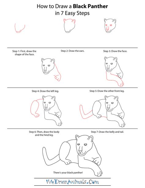 How to Draw a Black Panther