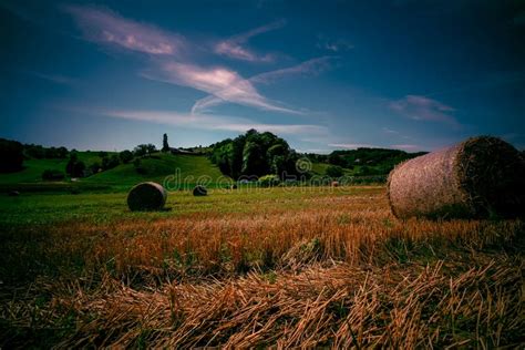 Hay Bales stock image. Image of synonyms, straw, bales - 156738379