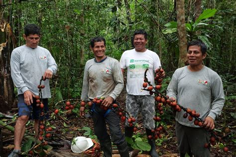 Ecuador » Nature and Culture International