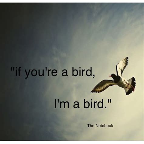 21 best birds quotes images on Pinterest | Quotes about birds, Bird ...