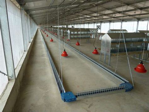 Poultry House Poultry Farming House Chicken Poultry Farm House