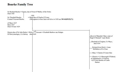 Family Tree - The Women of Westport House