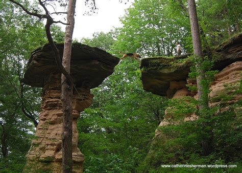Leap of Faith in the Wisconsin Dells | Catherine Sherman