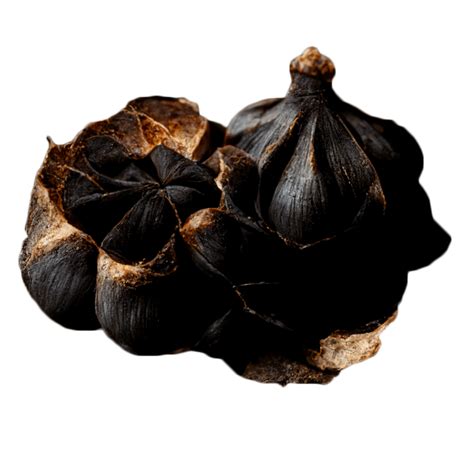 Black Garlic Shop Faq Frequently Asked Questions And Answers