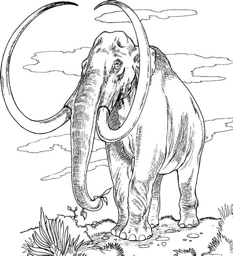 Cute Baby Mammoth Coloring Page Colouringpages The Best Porn Website