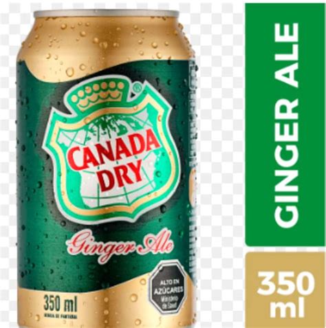 Booz Cl Bebida Canada Dry Ginger Ale Lata 350cc