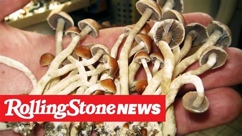 Oakland Decriminalizes Psychedelic Mushrooms Rs News 6 6 19 Youtube