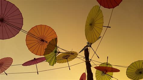 Edit free photo of Parasol,abstract,art,design,umbrella - needpix.com