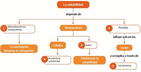 Mapa Mental Sobre Los Factores Que Afectan La Solubilidad De La