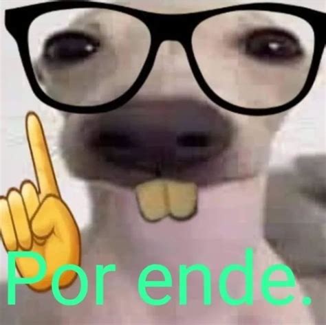 Pin De Sofi Sofi Em Arte Memes Figurinhas Engra Adas Penteados Pra