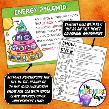 Energy Pyramid Science Doodle Notes Interactive Notebook Mini Anchor