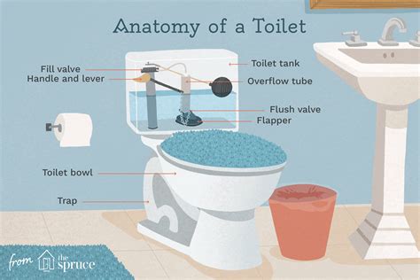How To Fix A Leaky Toilet Flapper