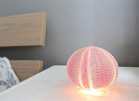 Sea Urchin Night Light Etsy