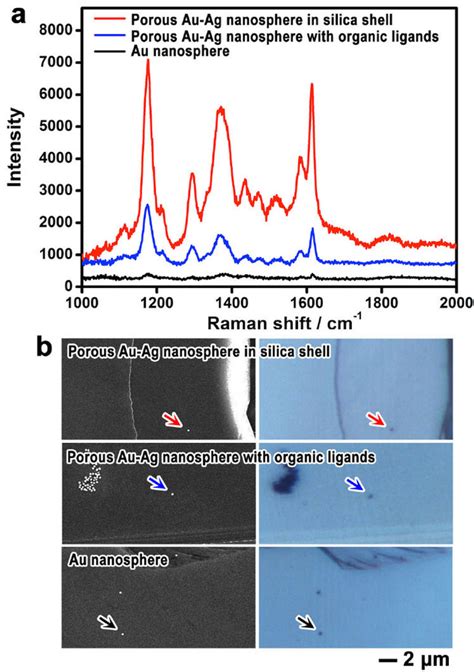 Porous plasmonic nanoparticles for surface-enhanced Raman scattering ...