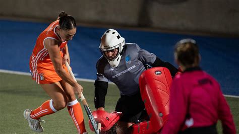 Territory Stingers To Play Brisbane Blaze At Festival Of Hockey Nt News