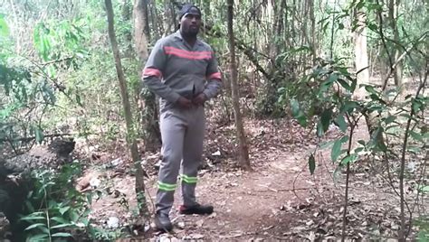 Free Gay Piss Porn Videos XHamster