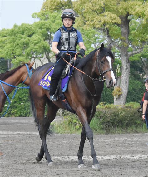 【ダービー】ダノンベルーガが1週前追いで好時計 川田騎手「順調に終えられたことが一番です」 3歳馬特集写真ニュース 日刊スポーツ