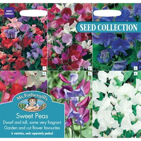 Mr Fothergills Sweet Peas Collection British Garden Centres