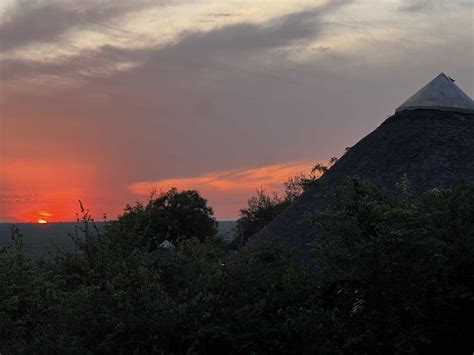 Exploring the Kruger National Park on a Self-Drive Safari