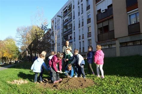 Családbarát munkahely címet kapott a Biokom pecsma hu