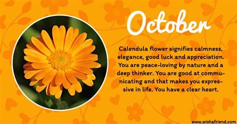 Your Birth Flower is October