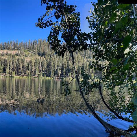 Lindsey Lake Campground | Emigrant Gap, California