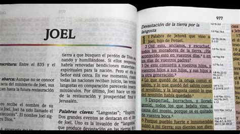 JOEL LIBRO COMPLETO Biblia Reina Valera 1960 YouTube