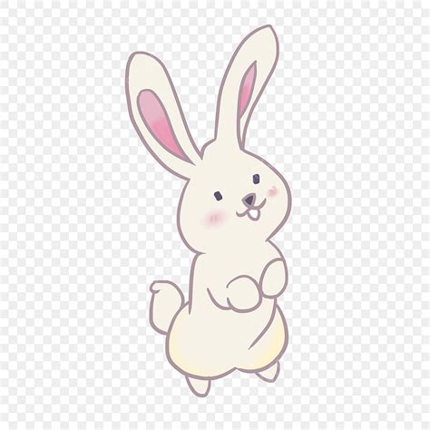 Rabbite Hd Transparent White Rabbit Cute Rabbit Anthropomorphic Rabbit