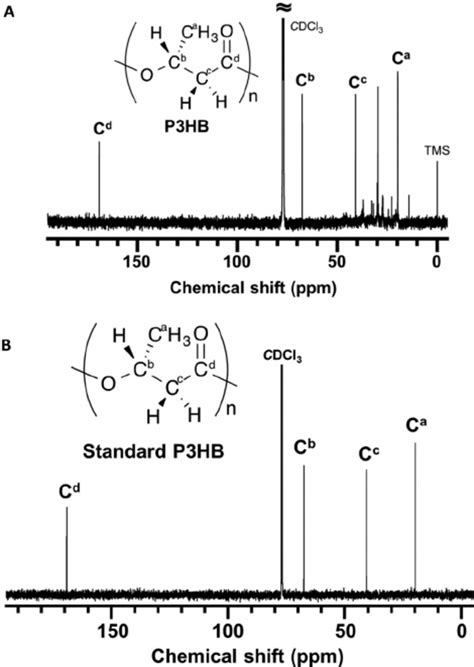 1 H Nmr Spectra Of A Phb Extracted From Cupriavidus Sp Cy 1 And B Download Scientific