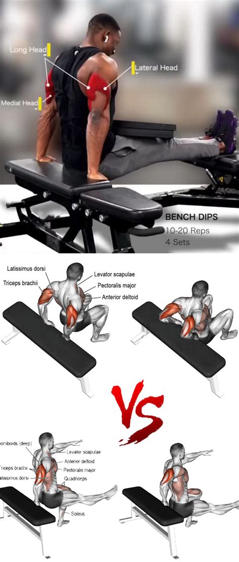 How To Bench Tricep Dips Video And Guide